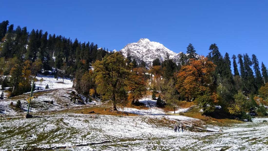 Shimla tour package