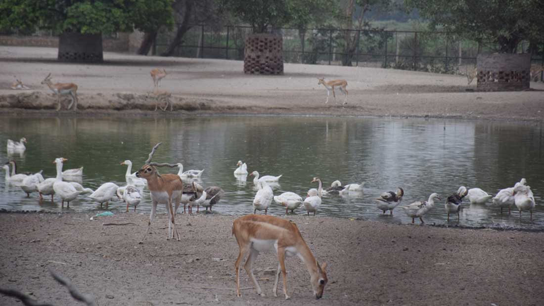 Mathura Vrindavan tour package